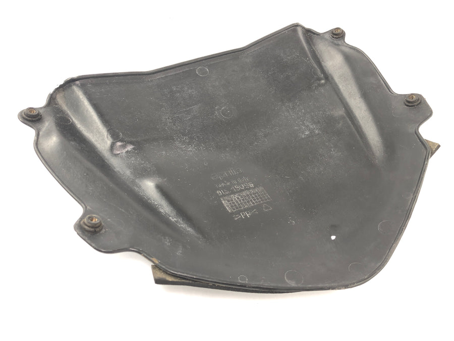 Aprilia SL 1000 Falco Pa [2000] - cladding Bugpoiler underrun protection at the front