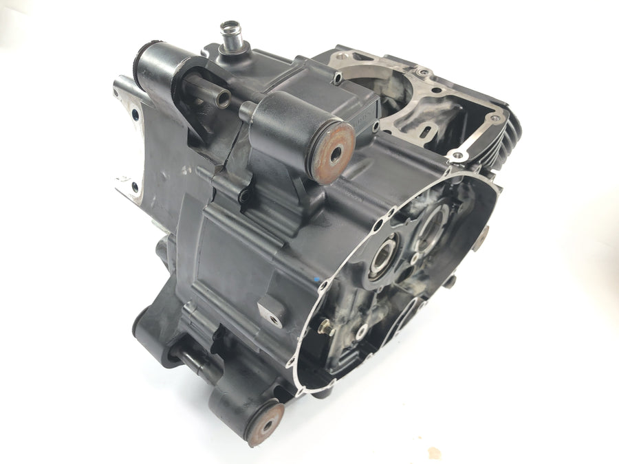 Suzuki VZ 1500 WVCU [2011] - Alloggiamento motore blocco motore alloggiamento vuoto