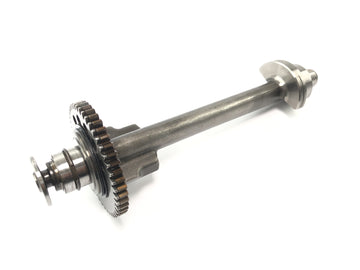 Triumph Speed Triple 1050 515NJ [2007] - Balance shaft - 0