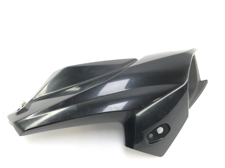 BMW K 1300 R K12S [2014] - Travestimento a destra