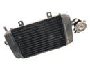 BMW C1 125 [2002] - Sistema di raffreddamento del radiatore con radiatore acqua e radiatore con bocchettone di riempimento-1