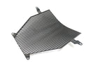 BMW K 1200 S K12S [2005] - Kühlergitter Kühlergrill Schutzgitter vorne Kunststoff-1
