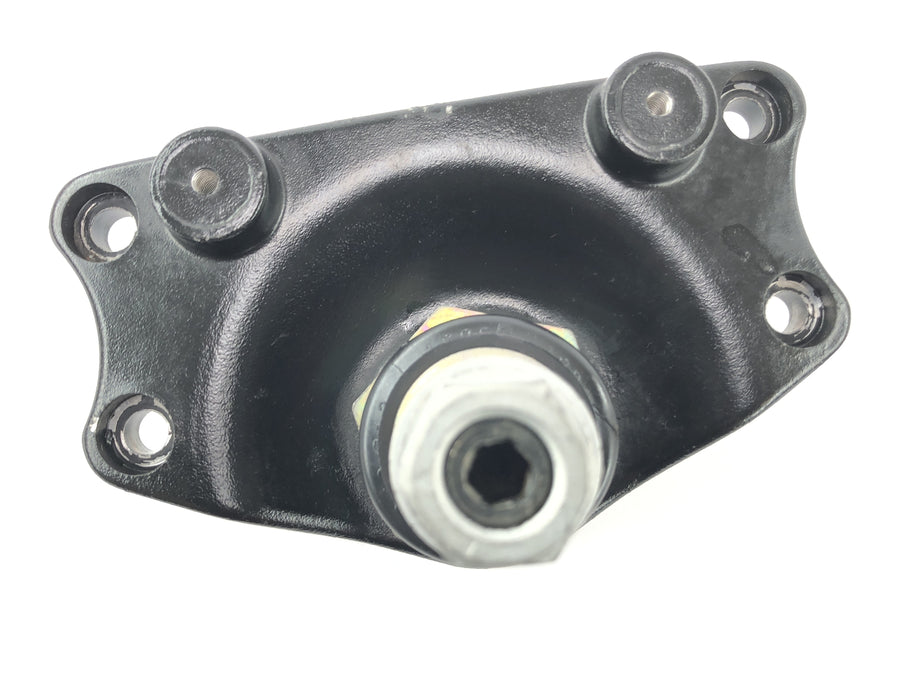 BMW R 1150 R R21 [2003] - Bridge fork sotto Telelever