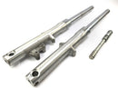 Kawasaki VN 800 Classic [2000] - Fork Suspension Fork con asse-1