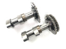 Aprilia RSV 1000 RP Mille [2001] - Nockenwelle Set hinten Auslassnockenwelle und Einlassnockenwelle Zylinder hinten-1