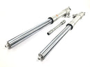 Honda CBR 900 RR Fireblade SC33 [2000] - Forcella forcella anteriore telescopica con perno-6