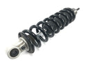 BMW R 1150 RS R22 [2003] - Ammortizzatore anteriore Showa Telelever-2