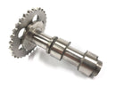 BMW F 650 GS R13 [2002] - camshaft entrance camshaft-2