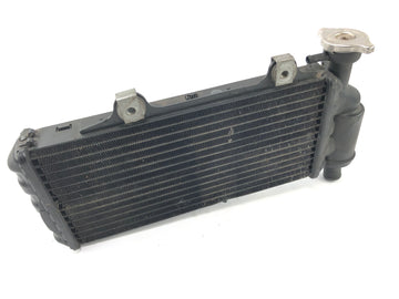 BMW F 650 GS R13 [2002] - cool water cooler motor cooler at the front