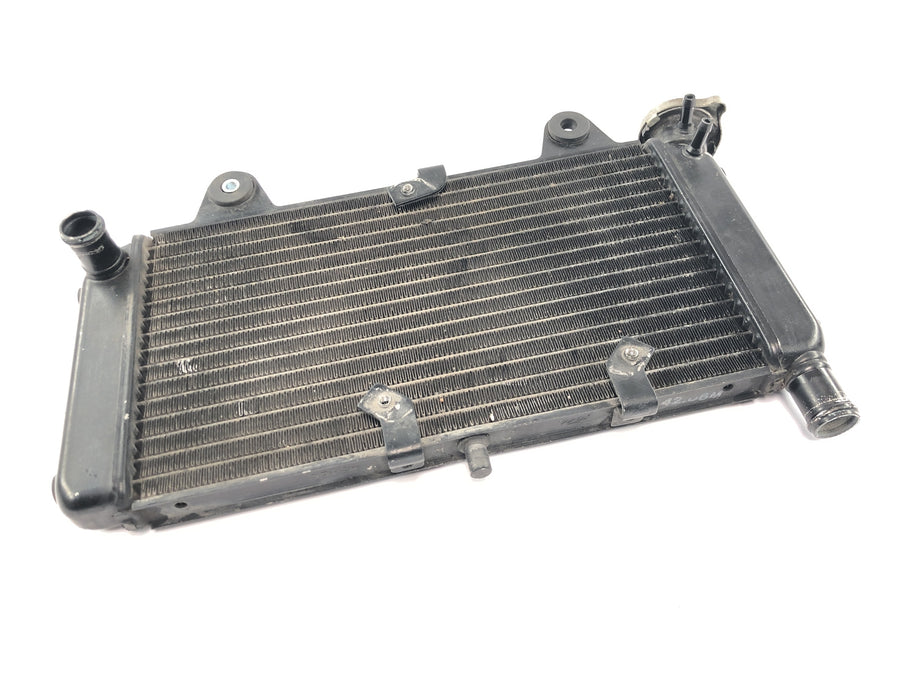 Yamaha MT 03 RM02 [2007] - Radiator water cooler engine cooler cooling system radiator