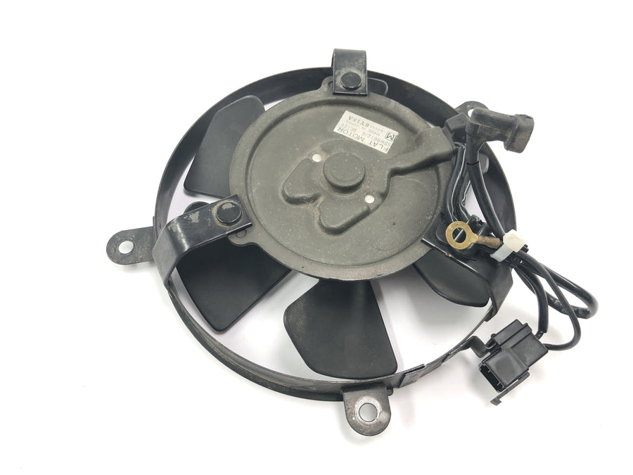 Honda CBR 900 RR Fireblade SC33 [2000] - Ventilateur électrique à roue de ventilateur de radiateur