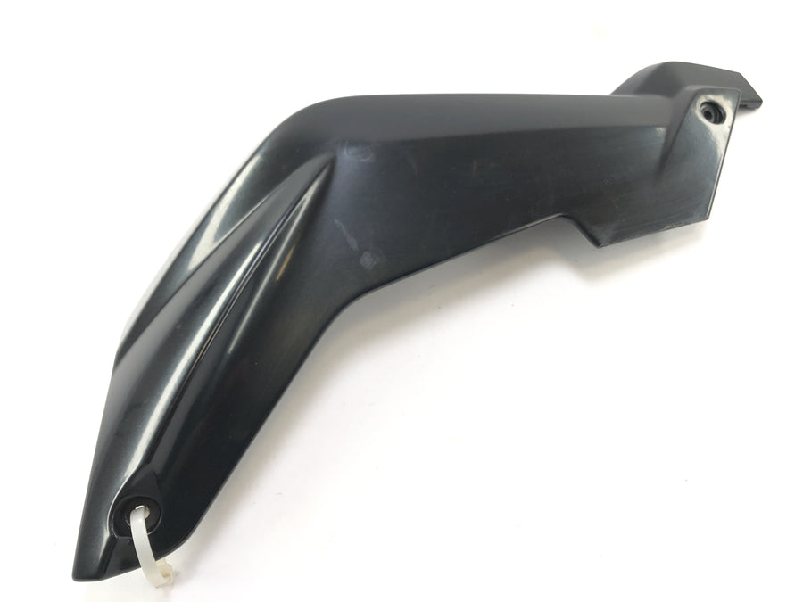 BMW K 1300 R K12S [2014] - rivestimento laterale a destra