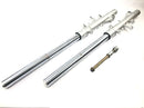 Triumph Tiger 955i 709EN [2003] - Forcella anteriore forcella telescopica con perno-10