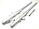 Triumph Tiger 955i 709EN [2003] - Forcella anteriore forcella telescopica con perno-1