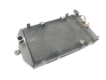 Kawasaki VN 1600 Classic VNT60A [2007] - Kühler Wasserkühler Radiator Motorkühler - 0
