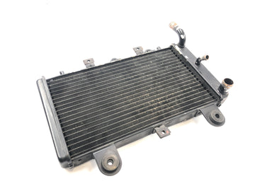 Triumph Tiger 955i 709EN [2003] - Kühler Wasserkühler Kühlsystem - 0