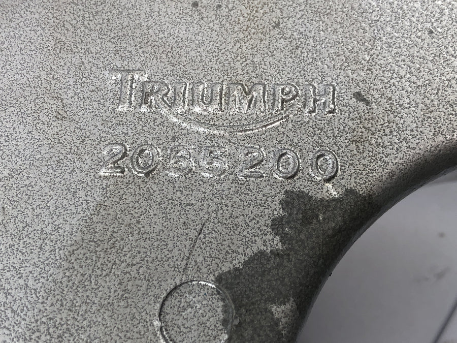 Triumph Speed ​​Triple T509 [1998] - Rear swing arm