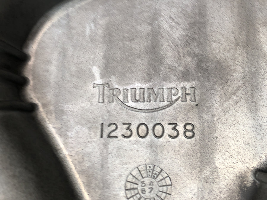 Triumph Daytona 900 T300 [1996] - Coperchio della coppa dell'olio