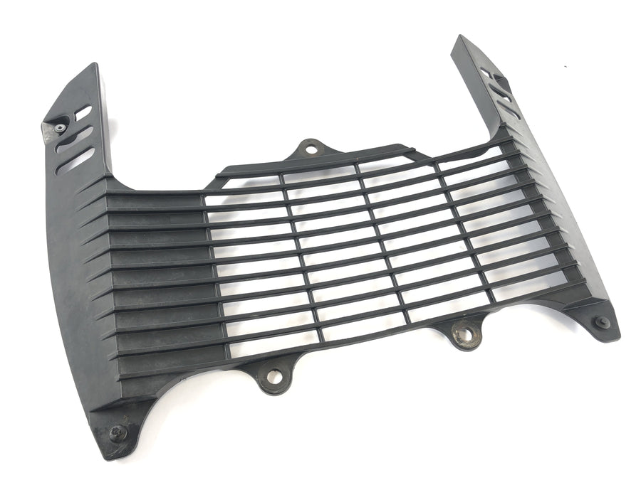 Yamaha XT 660 DM01 [2004] - cooling grille cover cooler