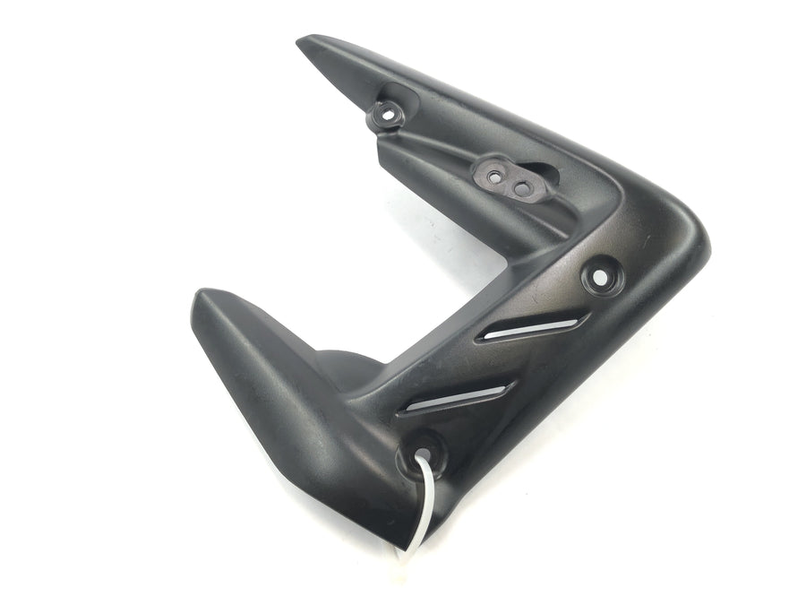 Triumph Street Triple R 675 D67LD [2010] - Giadding Page Right
