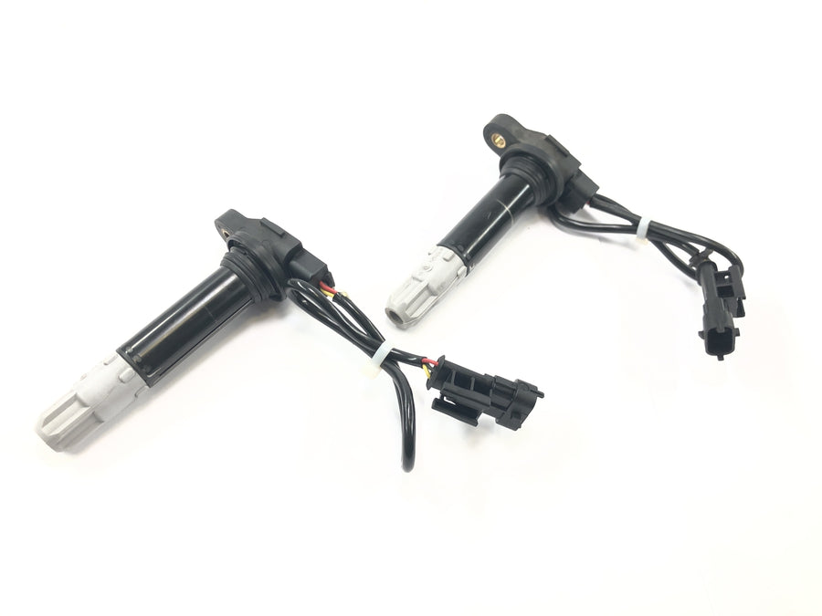 Ducati Multistrada 1200 S Touring [2009] - Kit bobine di accensione con asta bobina di accensione