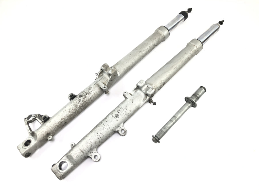 BMW R 1100 RT 259 [1999] - Forcella telescopica Telelever con perno