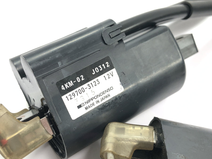 Yamaha YZF R1 RN04 [2001] - Zündspulen Zündspulenkit Zündanlage Zündkabel