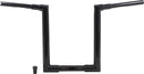 Harley Davidson Fltruse [BURLY BRAND] – Jason Lenker-1