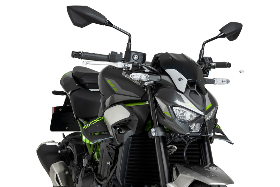 KAWASAKI Z 900 SE [2025] – D12 Spoiler – Carbon look