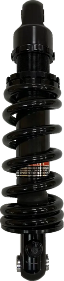 Harley-Davidson FXBB 1923 Softail Street Bob 117 [2025] - 12 mm Lambdasonde – Bild 5