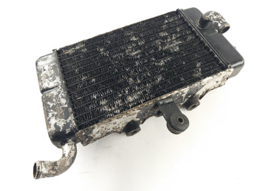 Honda XRV 650 African Twin RD03 [1989] - Radiator Water Cooler - 0