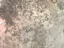 Moto Guzzi 850-T3 VD [1979] - Engine cover-4