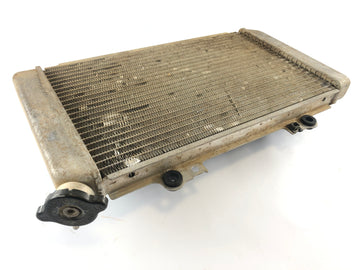 Yamaha Grizzly 660 AM03W [2003] - Radiator Water Cooler - 0