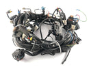 Moto Guzzi Norge 1200 LP [2006] - Faisceau électrique-1