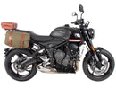 Triumph Trident 660 [2025] - C-Bow Seitenträger-12