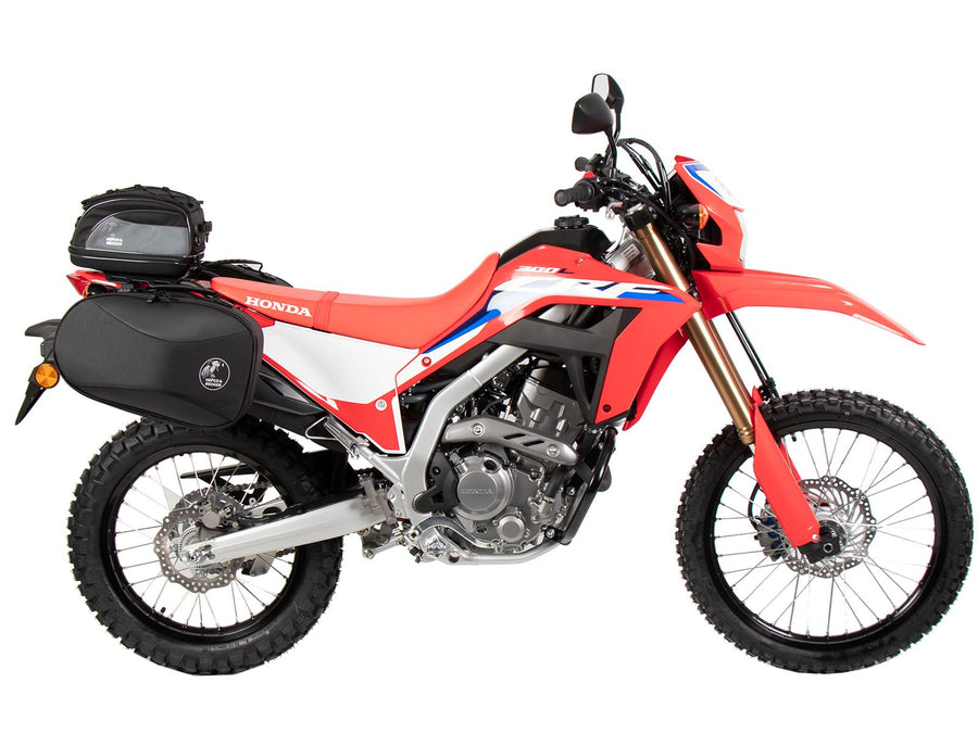 Honda CRF 300 L [2021-2025] - C-Bow Seitenträger