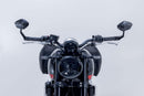 Triumph Street Triple 765 R [2019-2024] - Handlebar end mirror - picture 2