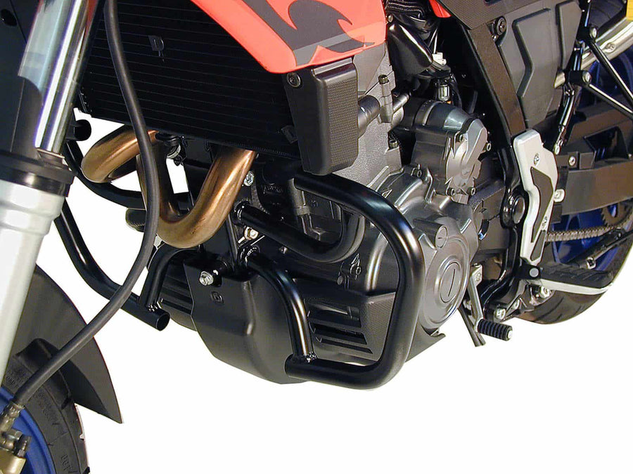 Aprilia Pegaso 650 Strada [2005-2009] - Motorschutzbügel