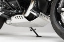 BMW R nineT [2018-2023] - engine protection bar silver – picture 2