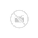 Honda CBF 1000 / ABS [GIVI] - side case carrier for V35