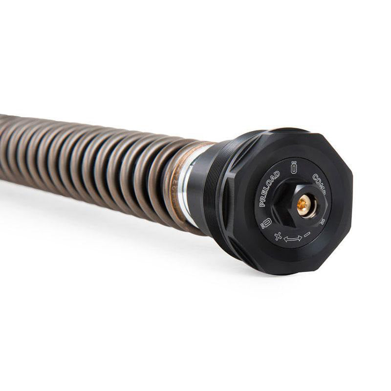 BMW R nineT 1200 Roadster [2014-2023] - Öhlins Patrone NIX30S (2017-2020)