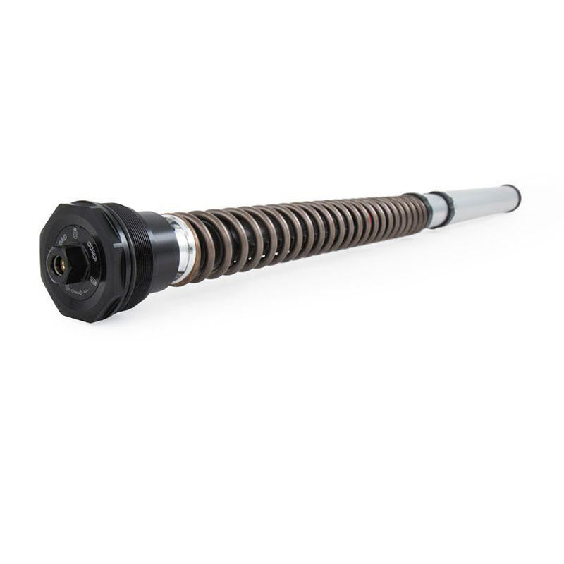 BMW R nineT 1200 Roadster [2014-2023] - Öhlins Patrone NIX30S (2017-2020)