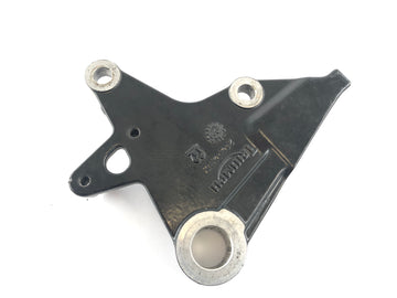 Triumph Tiger 1050 115NG [2016] - Brake anchor brake anchor plate - 0