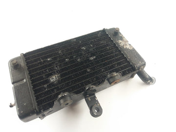 Honda Africa Twin XRV 650 RD03 [1989] - Radiateur d'eau