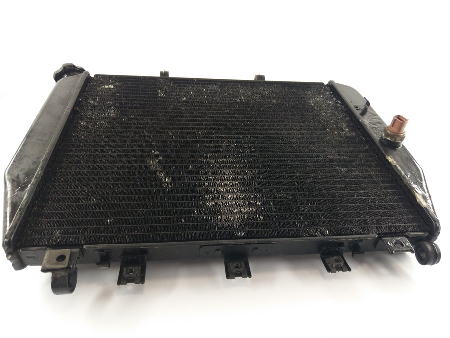 Kawasaki ZX-12R ZXT20A [2004] - Water Cooler Radiator