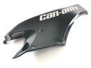 Can on the Spyder SM5 [2009] - rivestimento laterale a sinistra-1