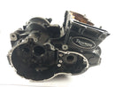 Triumph Speed ​​​​Triple T509 885i [1998] - Carter moteur vide-7