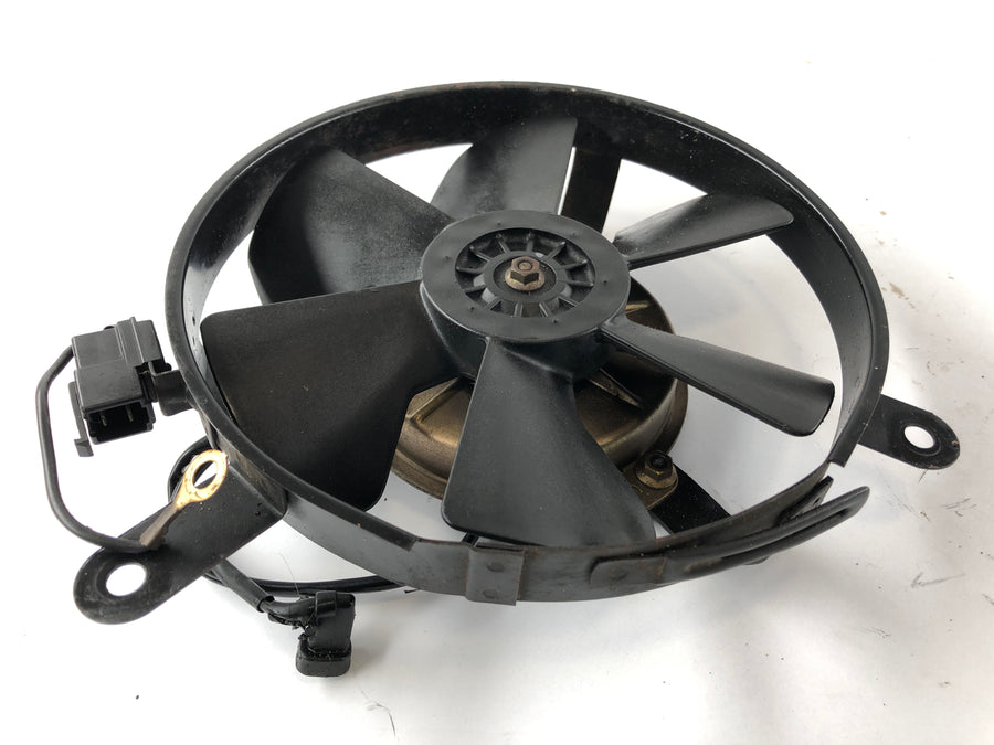Honda CBR 900 RR SC28 [1995] - ventola della ventola più fredda