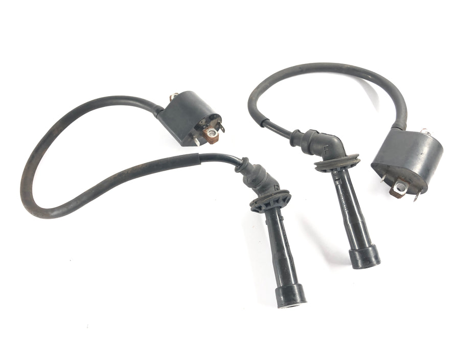 Suzuki DL 1000 V-Strom [2006] - Zündspulen Set Paar